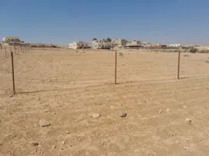 أرض للبيع في منطقة الزيتونة