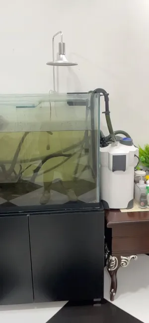 Aquarium with cabinet