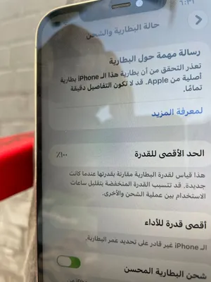12 برو ماكس