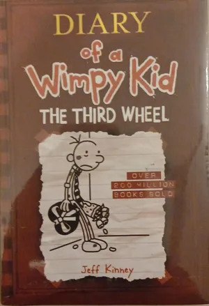 Brand New Diary of a Wimpy Kid Books Collection – 21 Books Complete Set