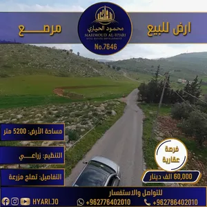 قطعة أرض استثمارية مميزة في منطقة مرصع (خلف جامعة فيلادلفيا) رقم الاعلان (7646)