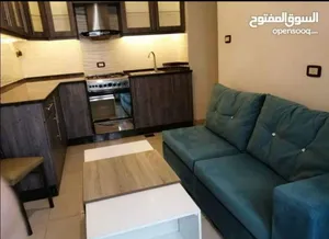 شقة ارضية مفروشة للايجار
