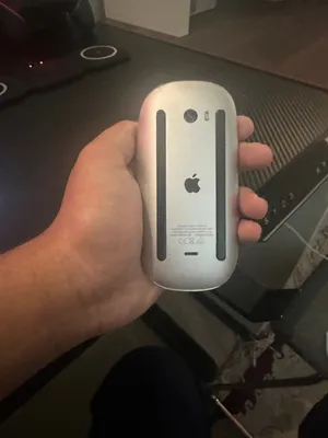 Apple magic mouse 2