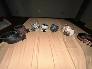 Designer-style belts collection