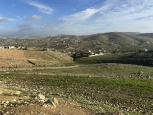 ارض 5 دنم للبيع في بيرين صروت حوض المرج الأصفر مطلة