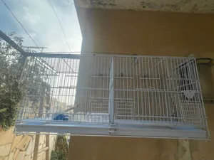 قفص 76 للبيع