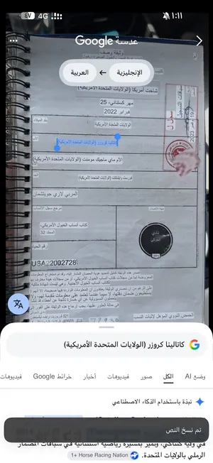 حصان مستورد من امركيا