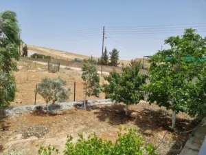 2 Bedrooms Farms for Sale in Mafraq Rhab