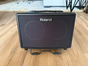 Roland Acoustic guitar amp AC33