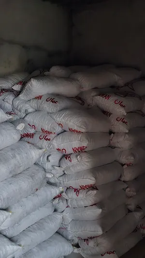 للبيع نفيعة للاغنام إنتاج هذه السنة