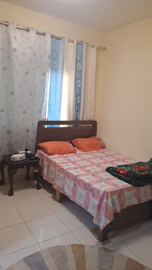 استديو فى الحميدية 1 جاهز للسكن بسعر لقطة قريب من الجامعة  و جميع الخدمات