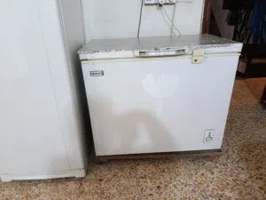مجمده نوعيه بيكونظيفه كلش اي ظررمابيها