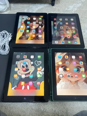 اربع ايبادات ابل للبيع