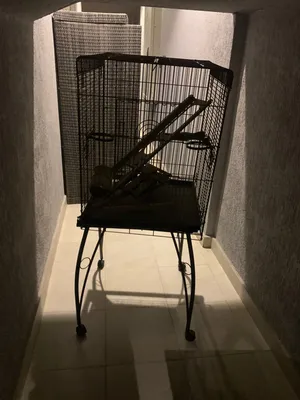 قفص كاسكو معاه الطاسه وكل شي يخص الكاسكو