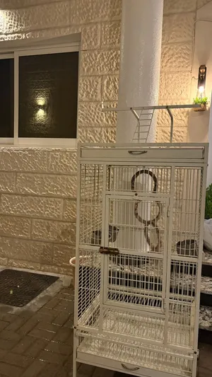 القفص البيع في ابوظبي