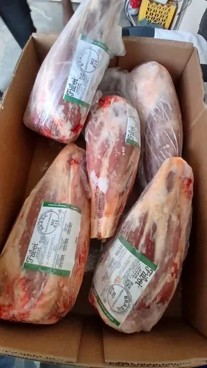 Beef Shank Bone In