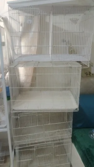 اقفاص طيور البيع