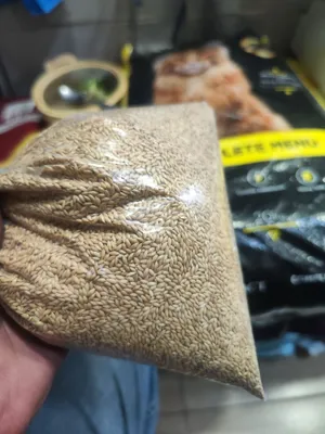 طعام الكنارات ، بريق حبه كبيره جامبو خالي من الشوائب والغبار