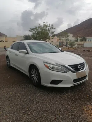 Used Nissan Altima in Muscat
