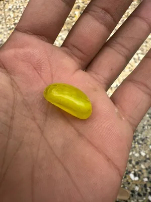 حجر ماعرفله اعتقد شرف شمس قيمه باليراضه الله واخده