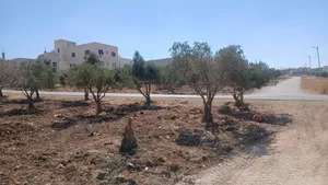 المعاينه اكبر دليل