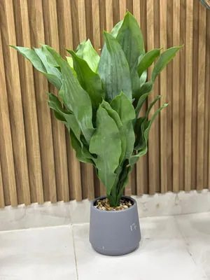 أشجار صناعية