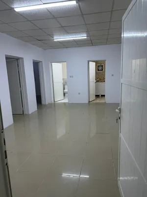 شقة للا ايجار