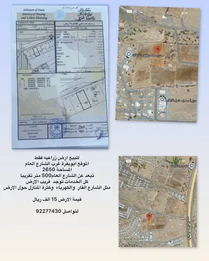 للبيع ارض زراعيه فقط