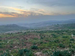 عراق الامير  غرب عمان بدر الجديده   بسعر مغري