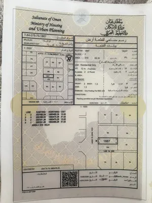 صحلنوت امتداد رزات مربع أ