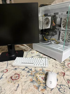 بيسي كرته 1650 XFX