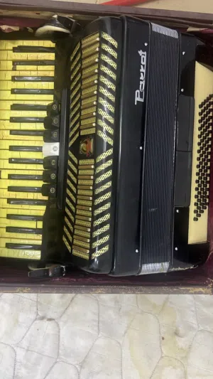 Parrot vintage piano accordion