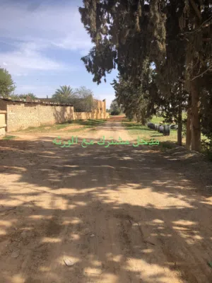 للبيع قطعة ارض زراعية/ سكنية قصربن غشير سوق السبت وتحديداً منطقة فرحات