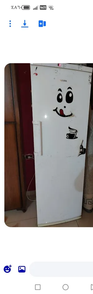 فريزر فستل