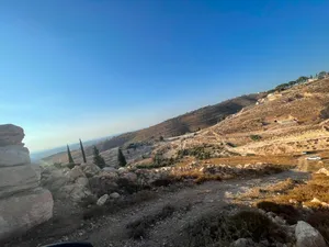 قطعة أرض مكونة من عدة نمر النمرة من 700 متر مربع إلى دونم تقريبا