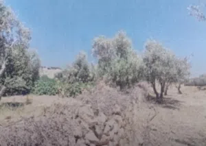 قطعة ارض للبيع