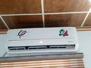 سبلت ايفولي