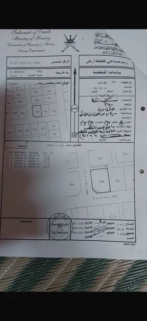 ارضين شبك المضيبي الافلاج