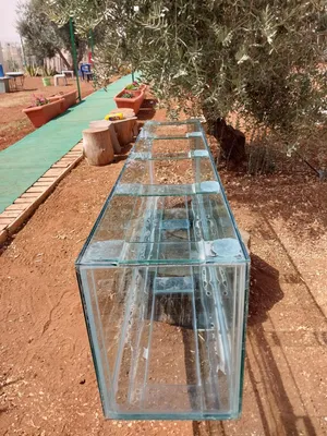 حوض سمك كبير