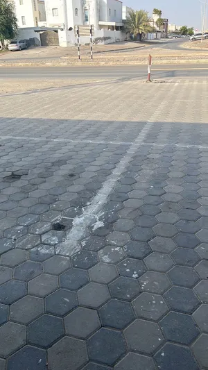 مطلوب منزل ارضي او ملحق ارضي