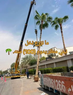 كل انواع الاشجار والنخيل النادر شعارنا المصداقيه والامانه