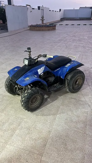 ياماها جرايزلي دراجه اربع عجلات cc250