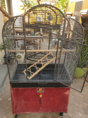 Parrot Cage