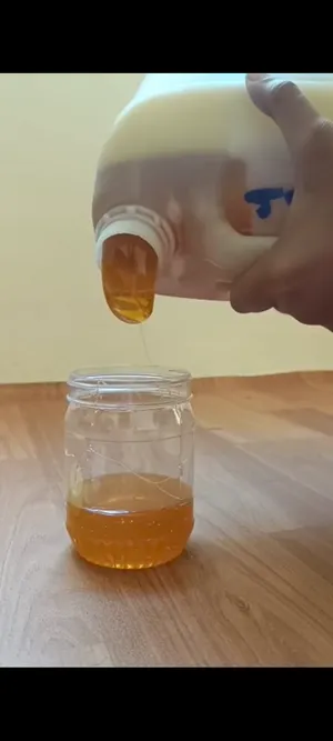عسل سدر درجه اولى