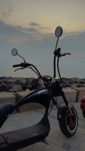 E-Harley (electric Harley) citycoco for sale