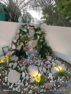 koi pond construction ,, /maintanance