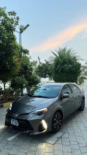 Used Toyota Corolla in Al Batinah