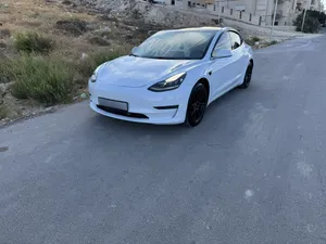 تيسلا 3 2019