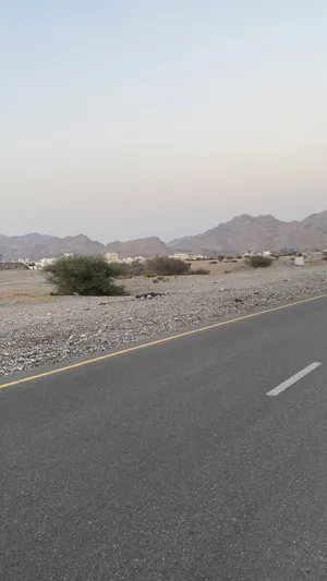أرض سكني تجاري للبيع في العلاية - موقع مثالي للاستثمار