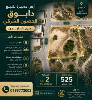 أرض مميزة دابوق حصلون الشرقي على شارعين